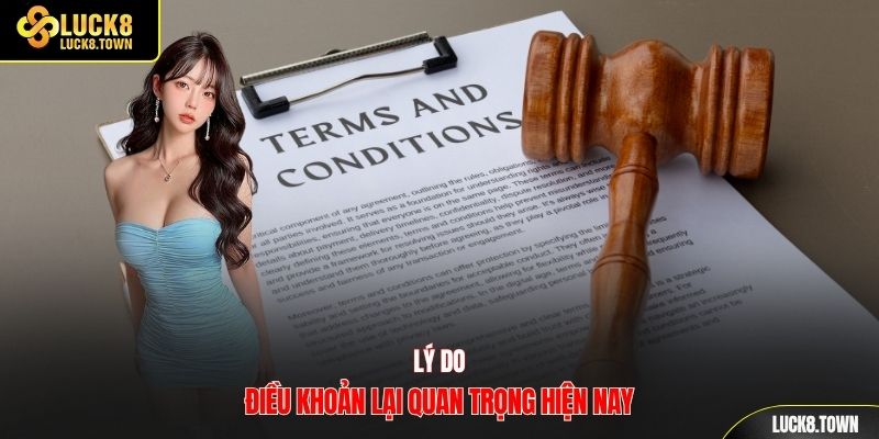 Lý do điều khoản lại quan trọng hiện nay